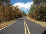 Road with Trees