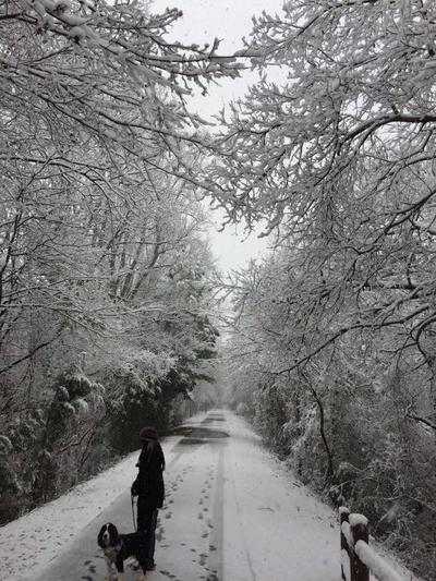 Chief Ladiga Trail