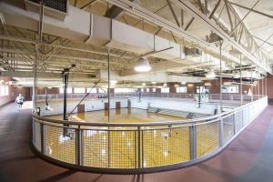 jcc_walking_track_1-300x200.jpg